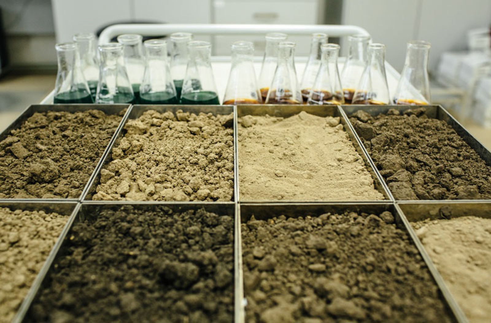 Scientist working in a research laboratory