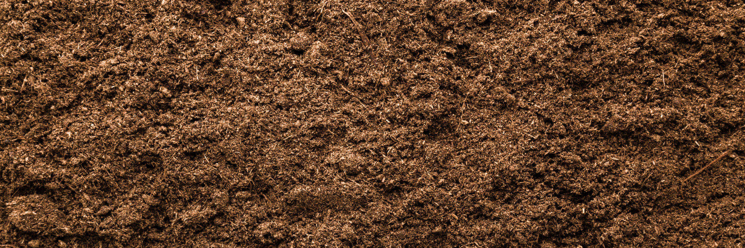soil bioremediation